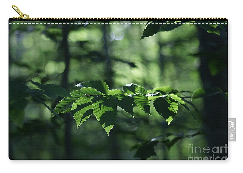 Woods Zip Pouch featuring the photograph Never Far From My Thoughts by Linda Shafer