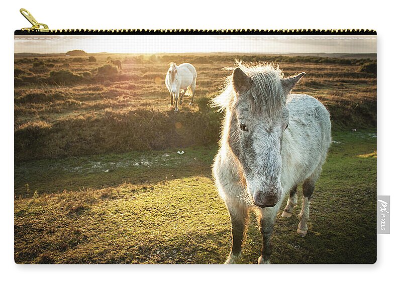 Horse Zip Pouch featuring the photograph New Forest Wild Ponies by Projectb
