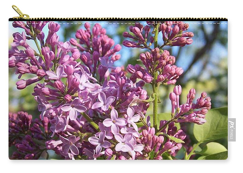 Purple Zip Pouch featuring the photograph Purple Lilac by Eunice Miller