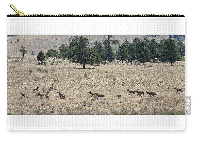 Wild Life Photography By Jack Pumphrey Zip Pouch featuring the photograph New Mexico Elk Herd by Jack Pumphrey