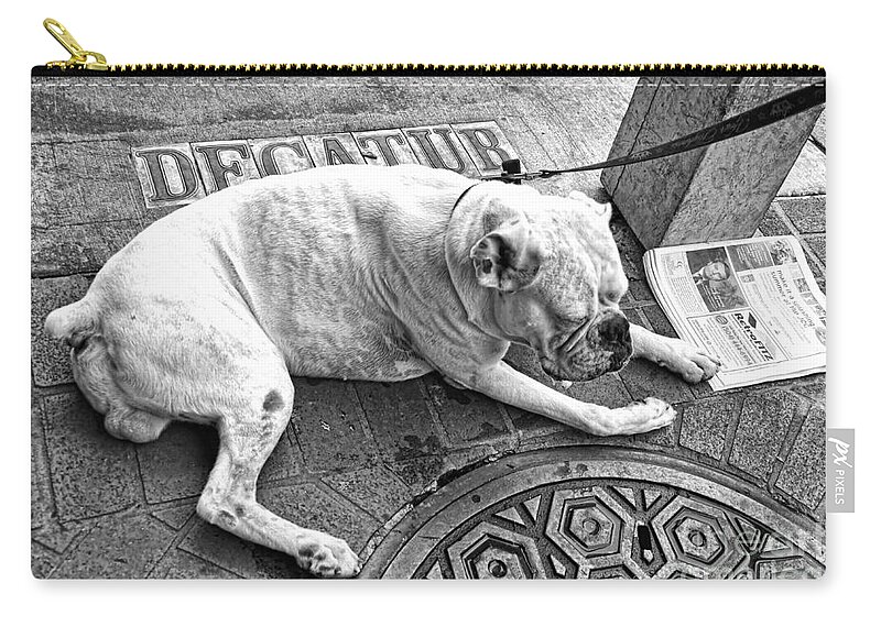 Dog Zip Pouch featuring the photograph Newsworthy Dog in French Quarter Black and White by Kathleen K Parker