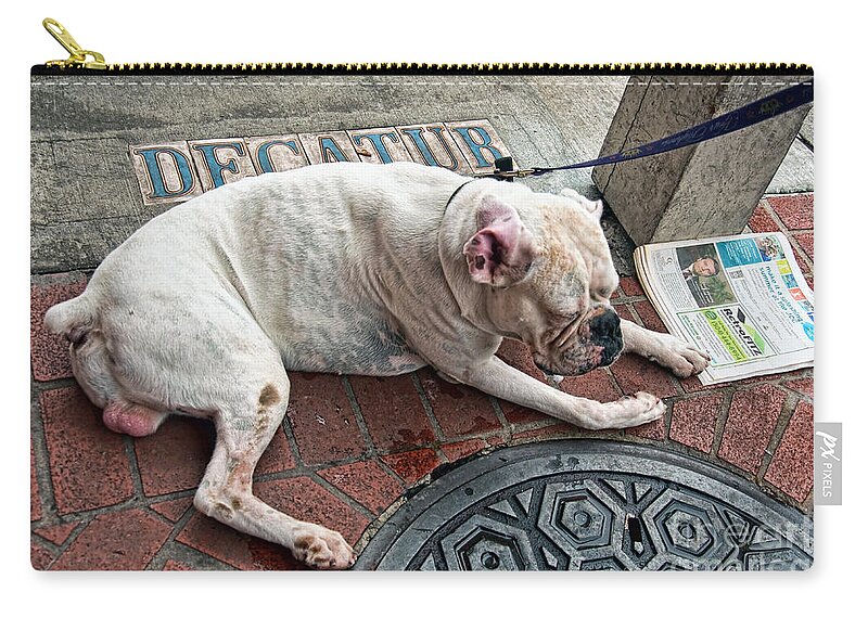 Dog Zip Pouch featuring the photograph Newsworthy Dog in French Quarter by Kathleen K Parker