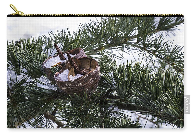 Fir Carry-all Pouch featuring the photograph Nibbled by Spikey Mouse Photography