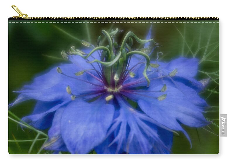 Blue Flower Zip Pouch featuring the photograph Nigella damascena by Greg Nyquist