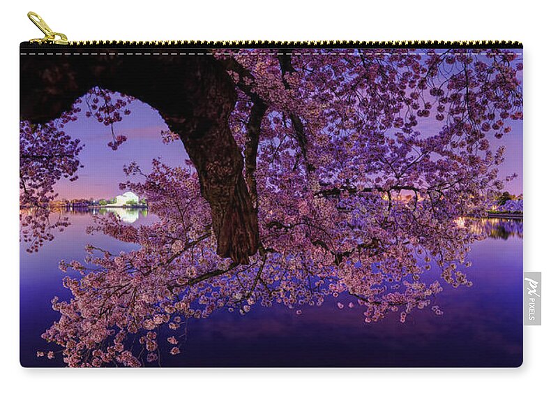 Dc Zip Pouch featuring the photograph Night Blossoms by Metro DC Photography