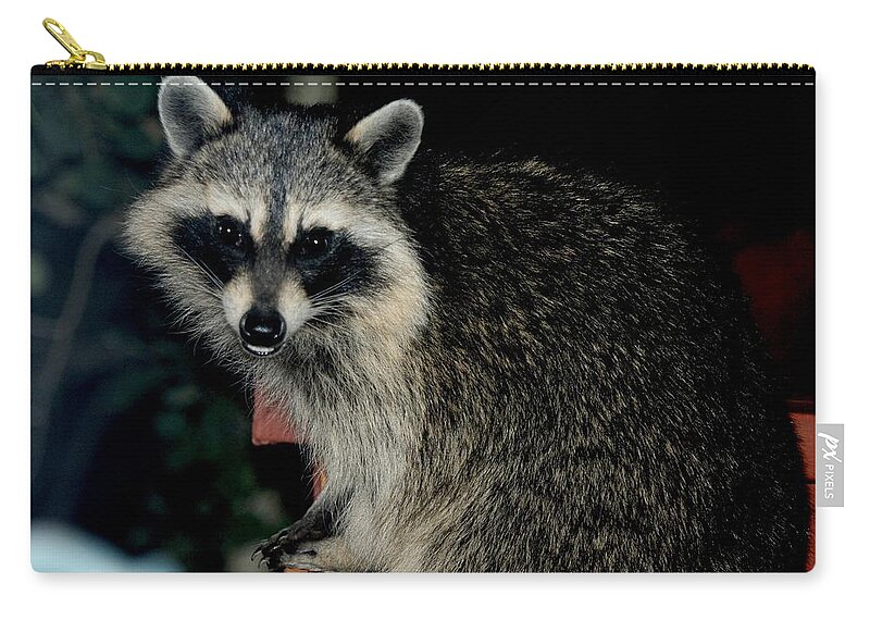 Colorado Zip Pouch featuring the photograph Night Marauder by Marilyn Burton