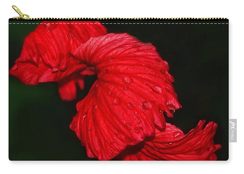 Texas Canvas Print Zip Pouch featuring the photograph Night Music by Lucy VanSwearingen