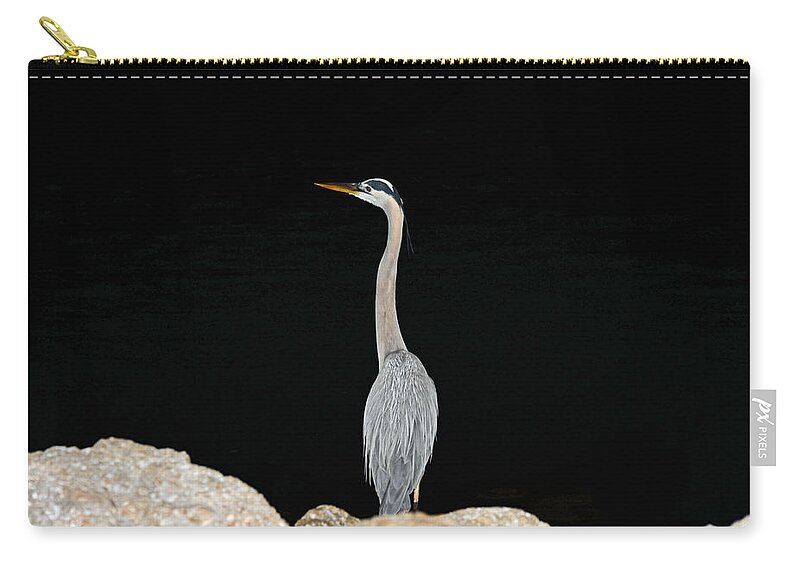 Blue Heron Zip Pouch featuring the photograph Night of the Blue Heron 2 by Anthony Baatz