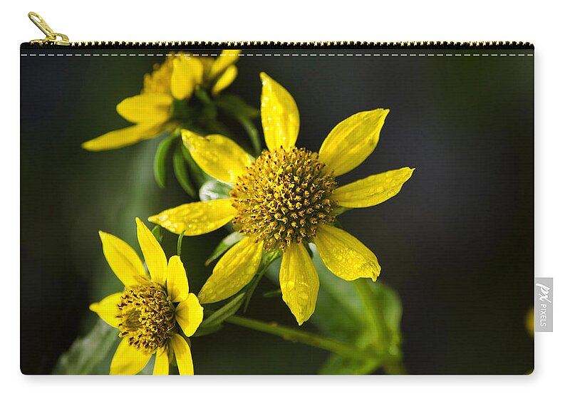 Flowers Zip Pouch featuring the photograph Nodding Bur Marigold by Christina Rollo