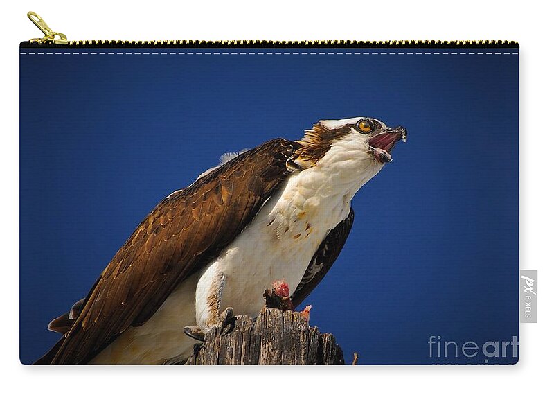 Blue Sky Zip Pouch featuring the photograph Noise by Quinn Sedam
