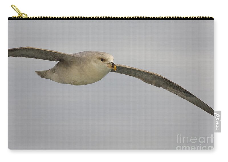 Northern Fulmar Zip Pouch featuring the photograph Northern Fulmar In Flight by John Shaw