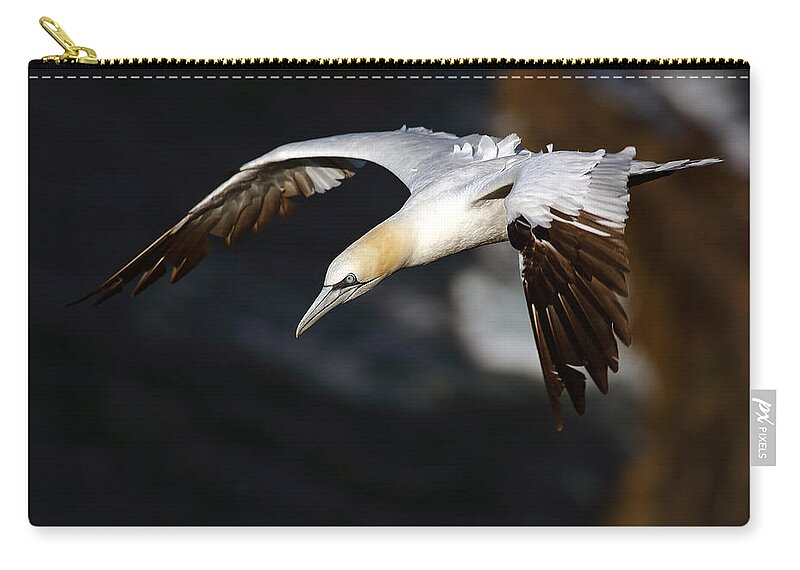 Sea Bird Zip Pouch featuring the photograph Northern Gannet by Grant Glendinning