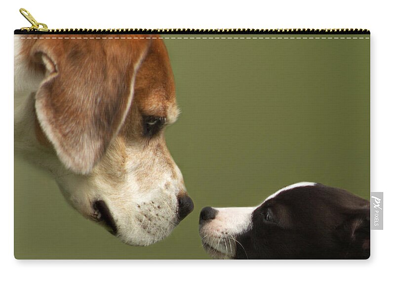 Dog Zip Pouch featuring the photograph Nose To Nose Dogs 2 by Linsey Williams