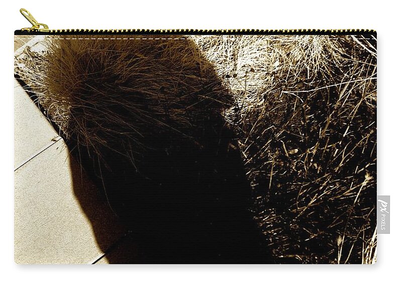 Dry Grass Zip Pouch featuring the photograph Nosferatu by Joseph Yarbrough