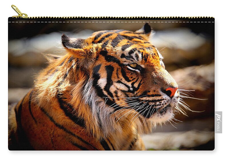Tiger Zip Pouch featuring the photograph Not a Tigger by Lynn Sprowl