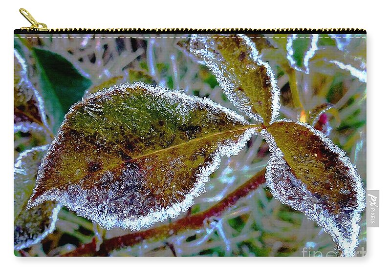 Leaves Zip Pouch featuring the photograph November_ Last Walz by Amalia Suruceanu