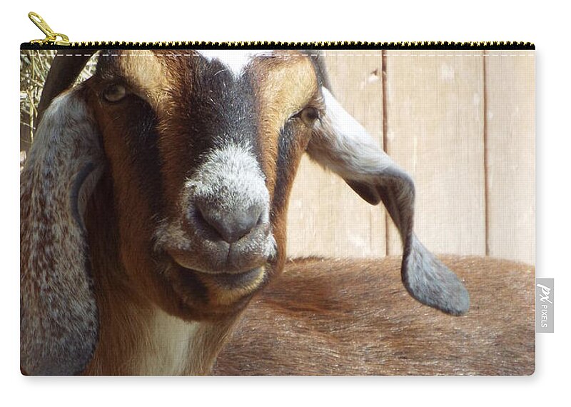 Nubian Goat Zip Pouch featuring the photograph Nubian Goat by Caryl J Bohn