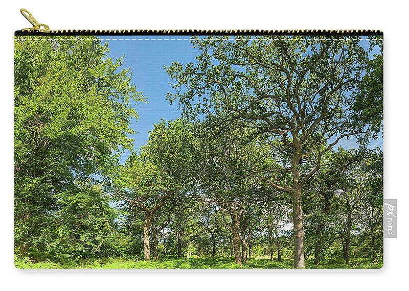 Scenics Zip Pouch featuring the photograph Oak Trees In Idyllic Summer Woodland by Fotovoyager