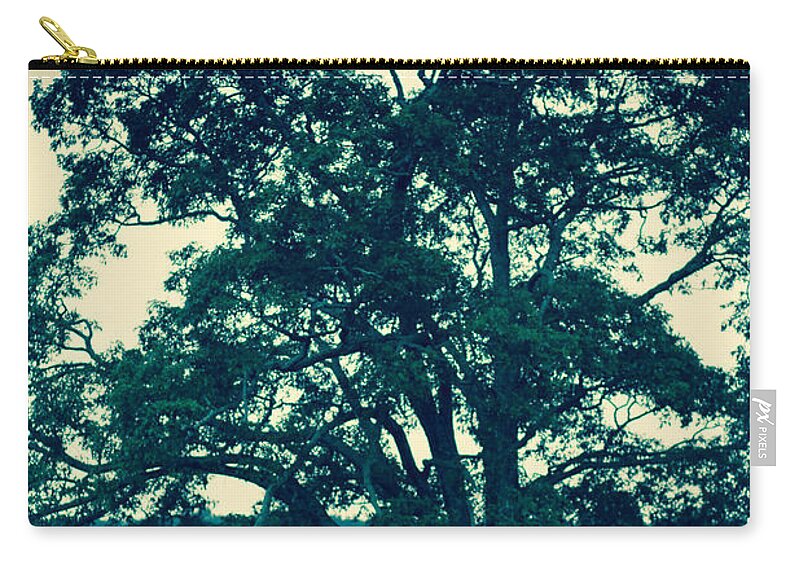 Tree Zip Pouch featuring the photograph Oakland Tree by Shane Holsclaw