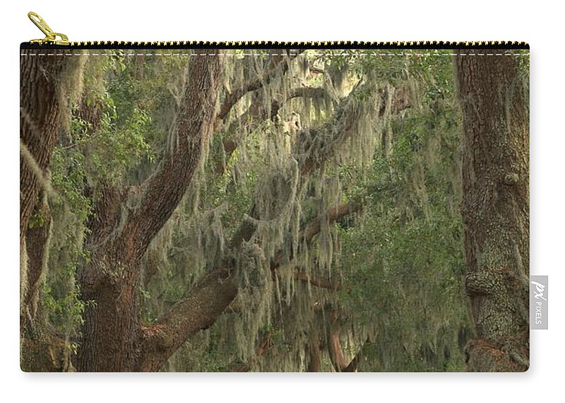 Avenue Of The Oaks Zip Pouch featuring the photograph Oaks Of Georgia by Adam Jewell