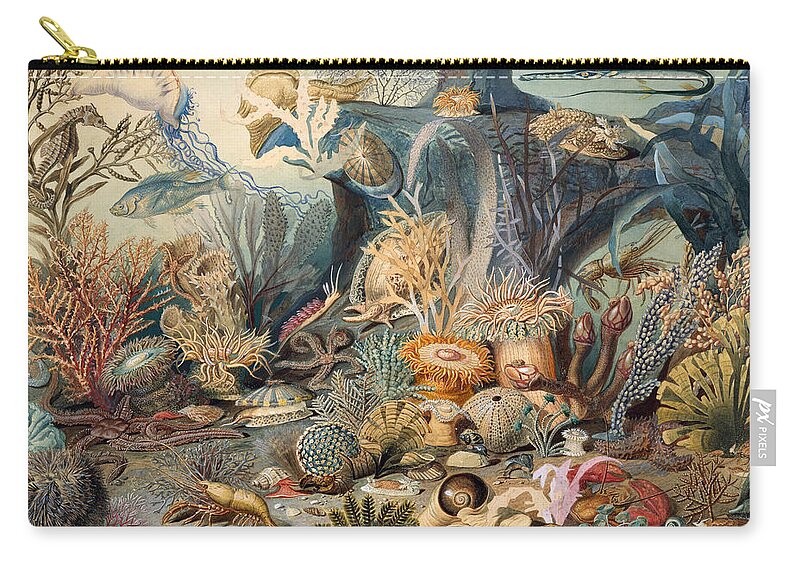 Ocean Life Zip Pouch featuring the painting Ocean Life, 1859 by Metropolitan Museum of Art