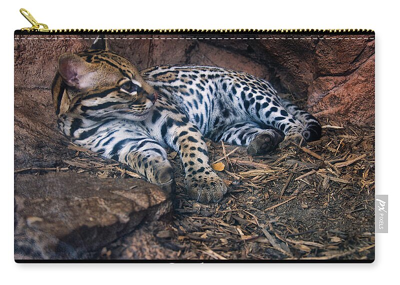Class Room Posters Zip Pouch featuring the digital art Ocelot by Flees Photos