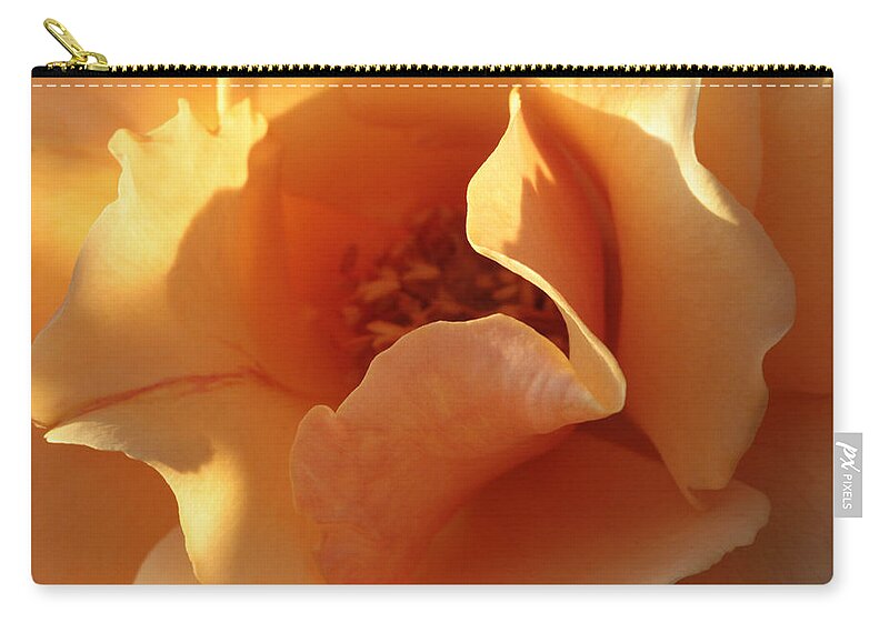 Connie Handscomb Zip Pouch featuring the photograph October's Rose by Connie Handscomb