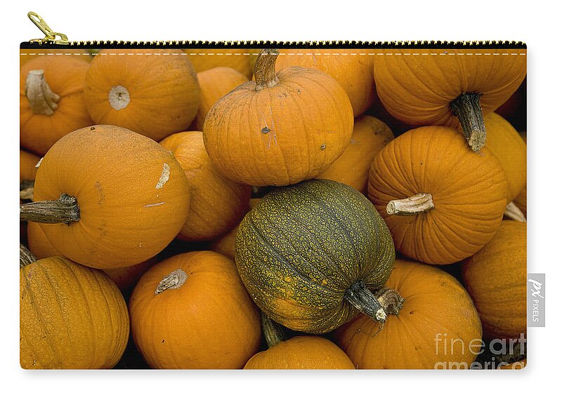 Pumpkins Zip Pouch featuring the photograph Odd one out by David Millenheft