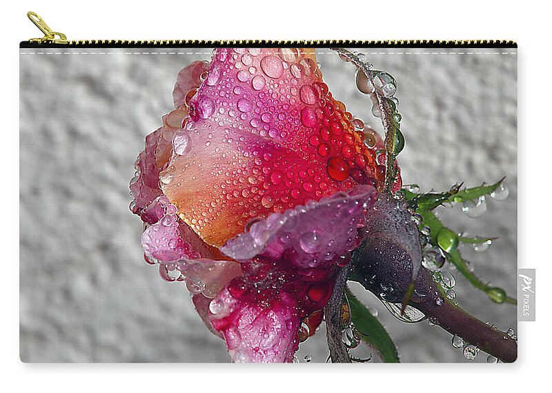 Roses Zip Pouch featuring the photograph Olde English by Joe Schofield