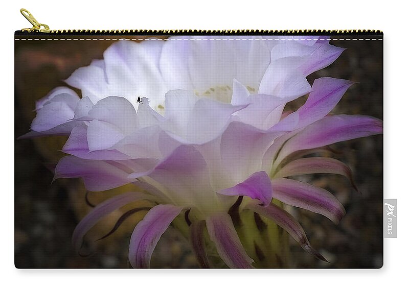 Cactus Zip Pouch featuring the photograph On the Edge by Lucinda Walter