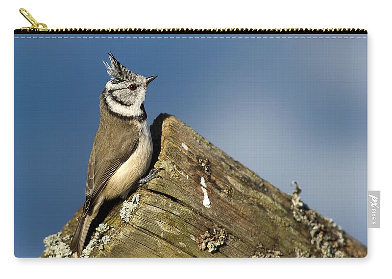 On The Edge Carry-all Pouch featuring the photograph On the edge by Torbjorn Swenelius