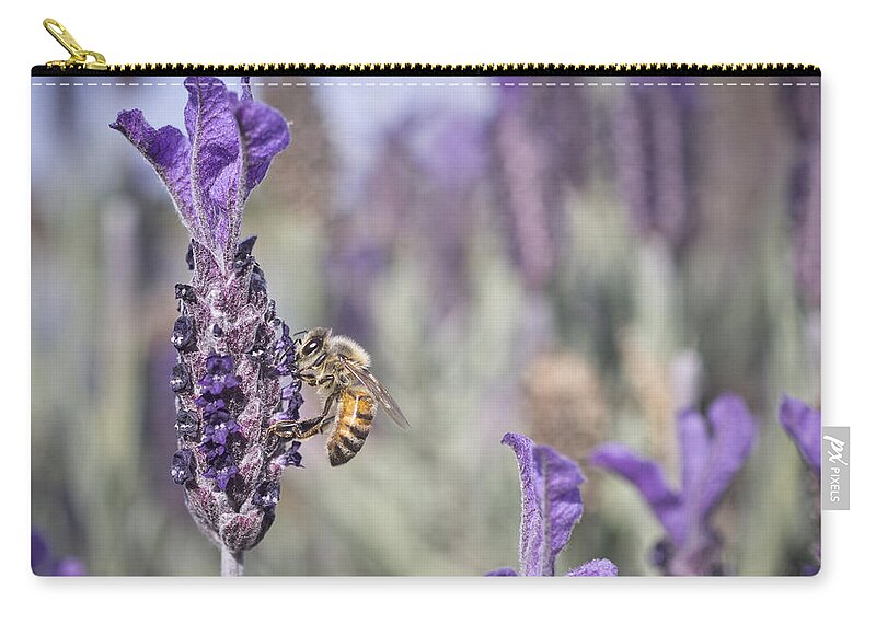 Bee Zip Pouch featuring the photograph On The Lavender by Priya Ghose