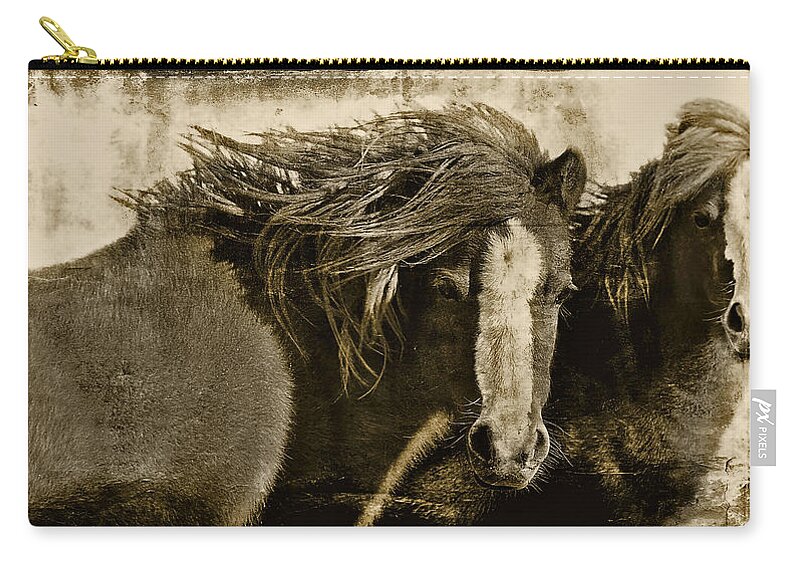 Pony Zip Pouch featuring the photograph Winds of Time by Amanda Smith