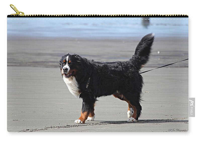Dog Zip Pouch featuring the photograph One Happy Boy by Jeanette C Landstrom