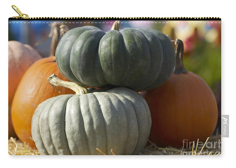 Winter Squash Zip Pouch featuring the photograph Orange and Green Pumpkins by Sharon Talson