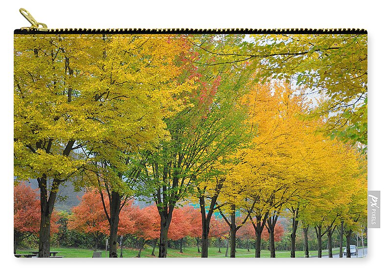 Fall Zip Pouch featuring the photograph Row Of Trees by Kirt Tisdale