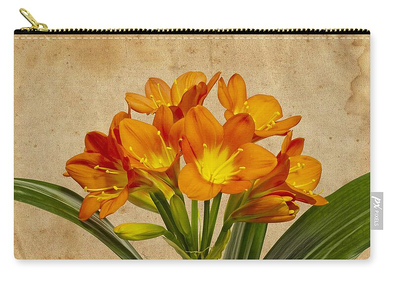 Lily Blossoms Zip Pouch featuring the photograph Orange Clivia Lily by Sandra Foster