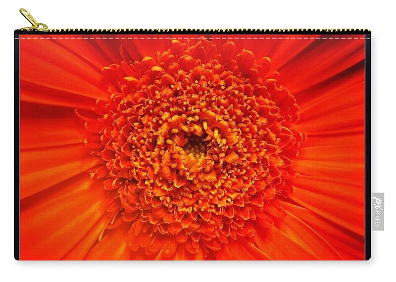 Flower Zip Pouch featuring the photograph Orange by Denise Railey