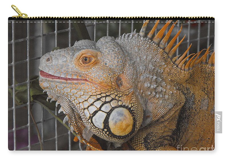Lizard Zip Pouch featuring the photograph Orange Dragon by Erick Schmidt