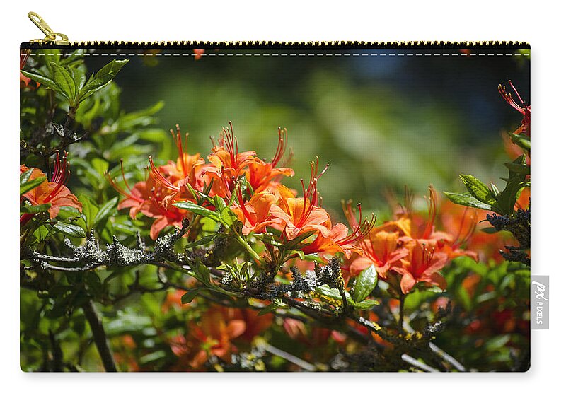 Orange Carry-all Pouch featuring the photograph Orange Rhododendron by Spikey Mouse Photography
