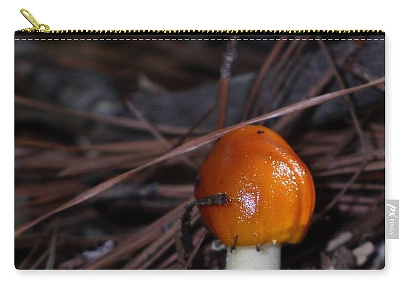 Orange Top Mushroom Zip Pouch featuring the photograph Orange Top by Cleaster Cotton