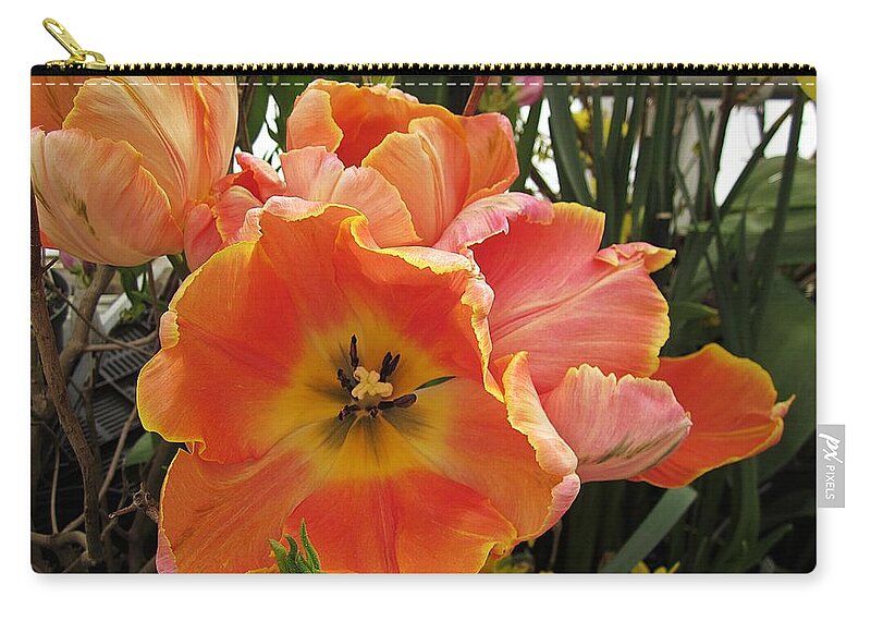  Zip Pouch featuring the photograph Orange Tulips by MTBobbins Photography