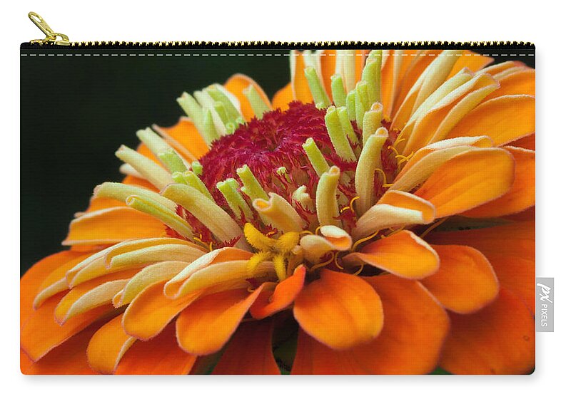 Flora Zip Pouch featuring the photograph Orange Zinnia by Lynne Jenkins