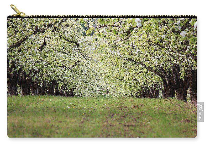 Apple Zip Pouch featuring the photograph Orchard by Patricia Babbitt