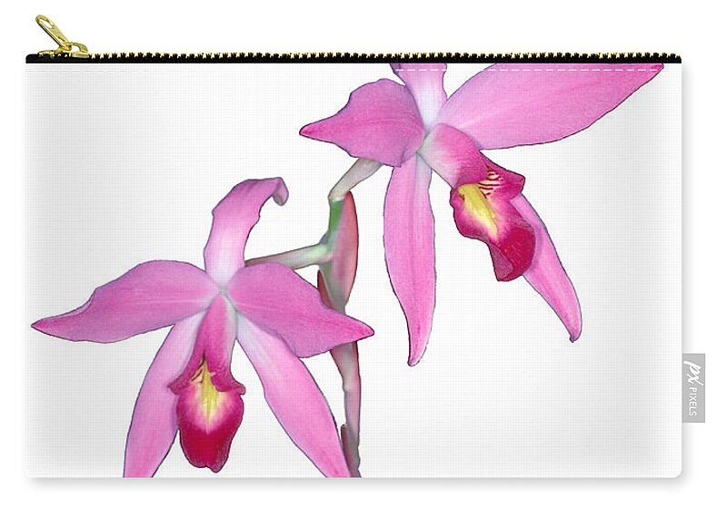 Flower Zip Pouch featuring the photograph Orchid 1-1 by Andy Shomock
