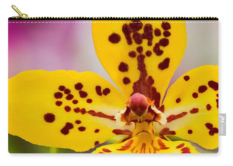 Orchid Carry-all Pouch featuring the photograph Orchid 2 of 3 by Brad Marzolf Photography