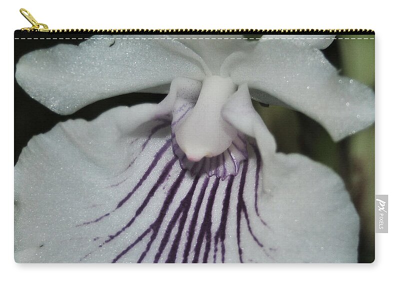 White Orchid Zip Pouch featuring the photograph Orchid Cochleanthes aromatica Menehune by Terri Winkler