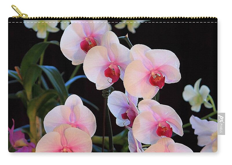 Fineartamerica Zip Pouch featuring the photograph Orchid Group II by Michael Saunders