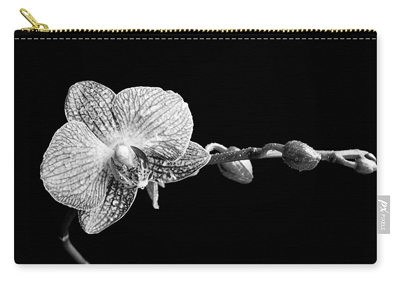 Orchid Zip Pouch featuring the photograph Orchid Phalaenopsis flower by Michalakis Ppalis
