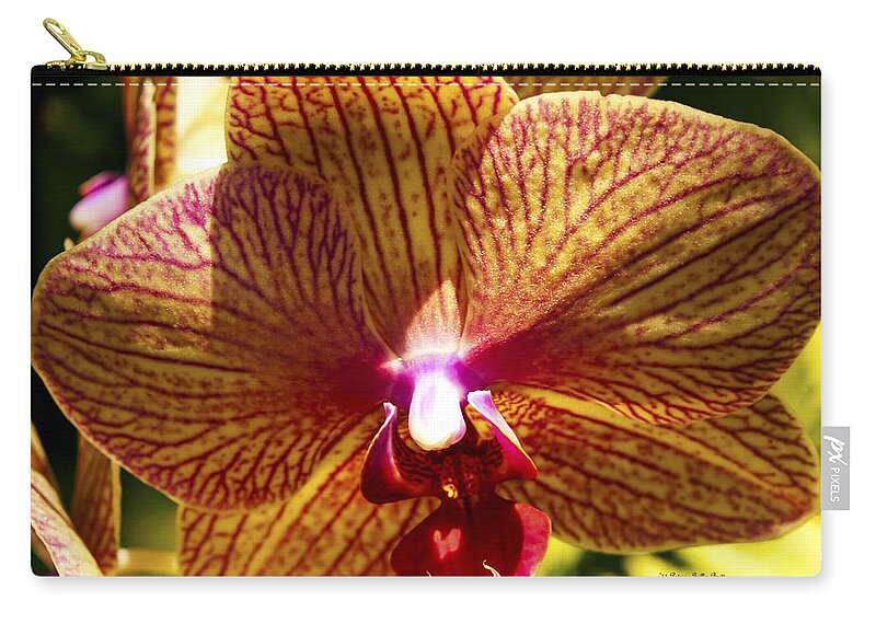 Fine Art Photography Zip Pouch featuring the photograph Orchid Study VII by Patricia Griffin Brett